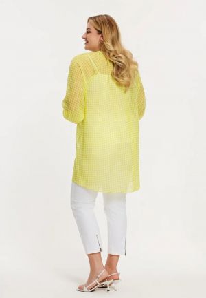  250-vichy yello
