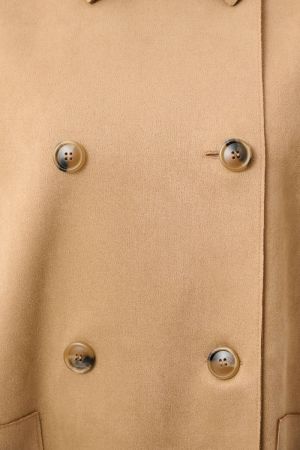  4537 Camel