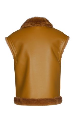 61255 1131 GOLDEN OLI